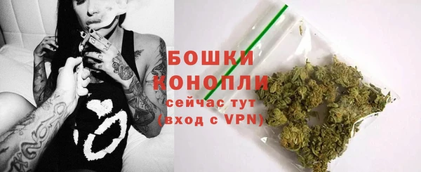 эйфоретик Вяземский