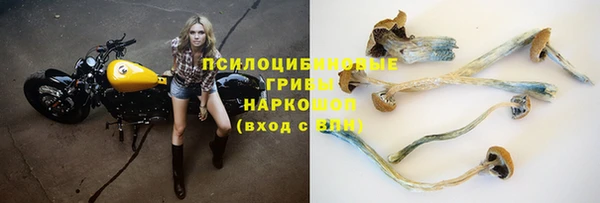 соль ск Горняк