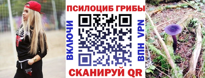 Галлюциногенные грибы Psilocybe  хочу наркоту  Еманжелинск 
